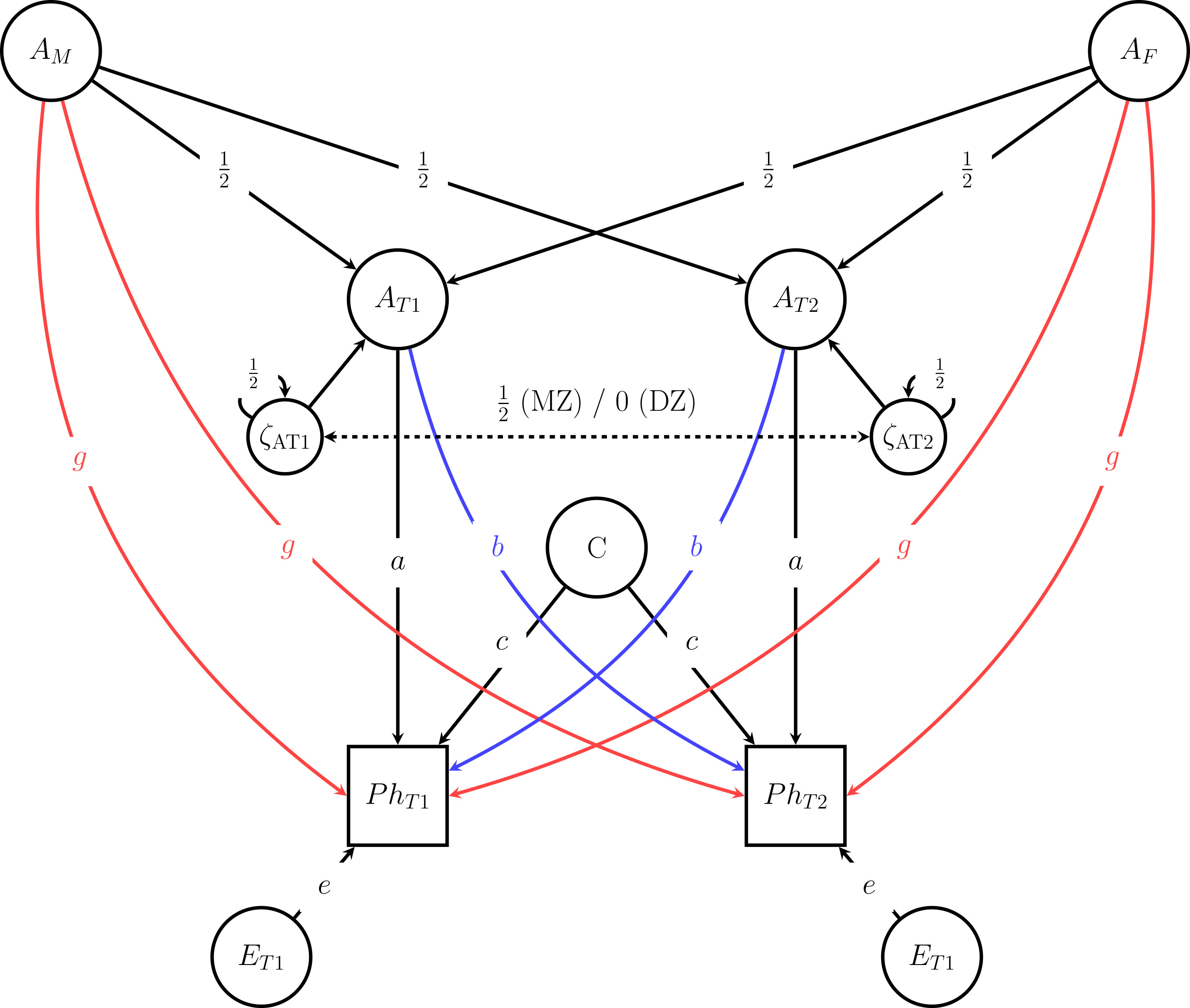 PathDiagram